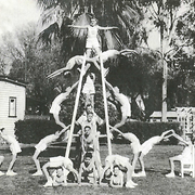 Boy Gymnasts, Salvation Army Boys' Home, Nedlands